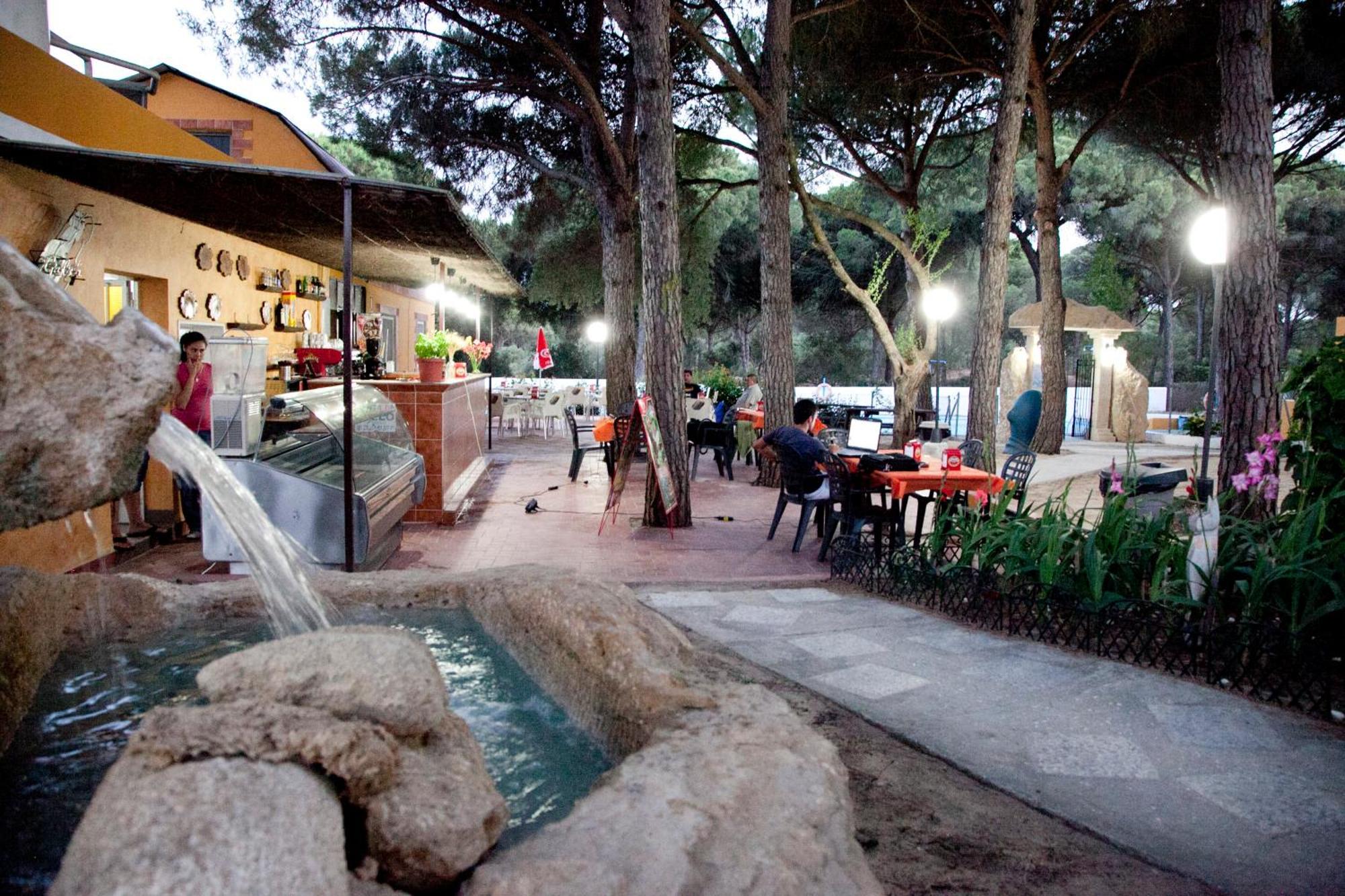 Camping Vejer 베예데라프론테라 외부 사진