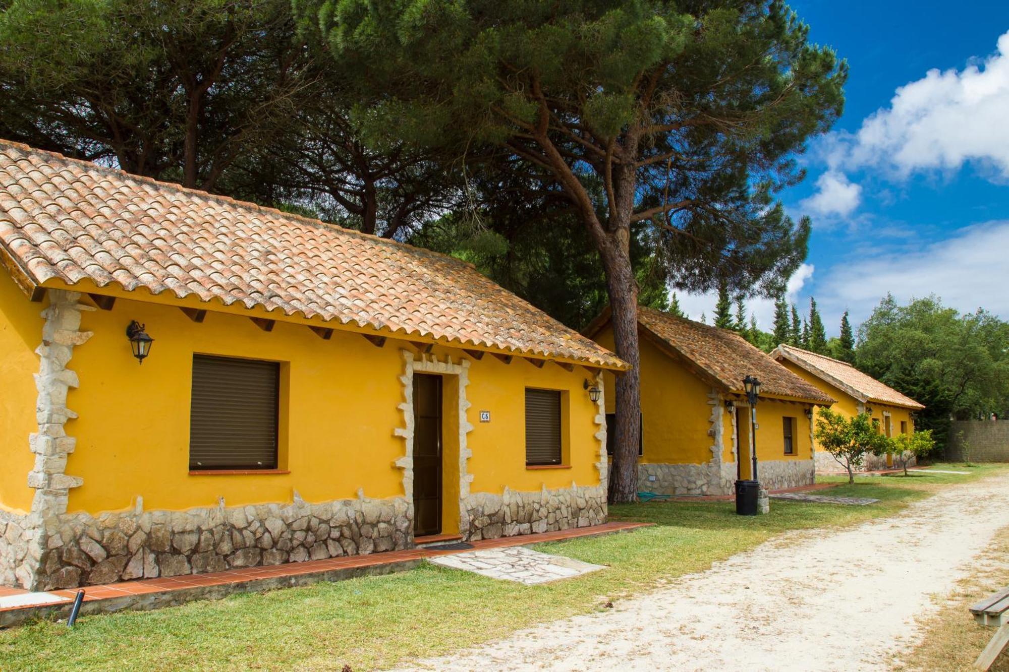 Camping Vejer 베예데라프론테라 객실 사진
